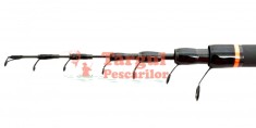 Lanseta Bologneza DMT SANDS 6m 340 Grame CARBON foto