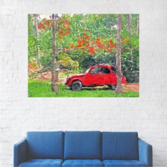Tablou Canvas, Masina Rosie in Curte - 20 x 25 cm foto