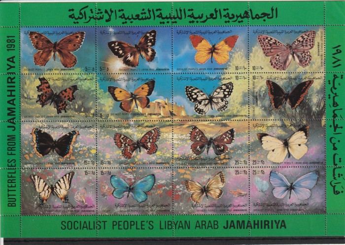 Fauna ,fluturi,Libia.