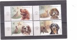 Romania 2024 LP 2457 , 100 de ani AGVPS, caini de vanatoare MNH **