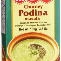 MDH Chutney Podina Masala (Condiment pentru Sos de Menta) 100g