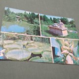 CARTE POSTALA CLUJ-NAPOCA-BOTANICA CIRCULATA