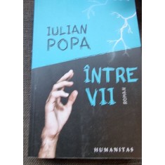 Iulian Popa - Intre vii