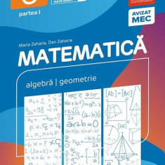 Matematică. Algebră, geometrie. Clasa a VI-a. Consolidare. Partea I - Paperback brosat - Dan Zaharia, Maria Zaharia - Paralela 45 educațional