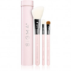 Sigma Beauty Essential set de pensule cu husă