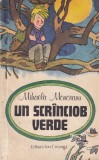 Carte Un Scranciob Verde Mihaela Monoranu Poveste Copii Brosata Romana 94 Pagini Aventuri Magie