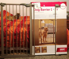 Dog Barrier Grilaj foto