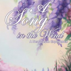 A Song in the Wind: A Near Death Experience