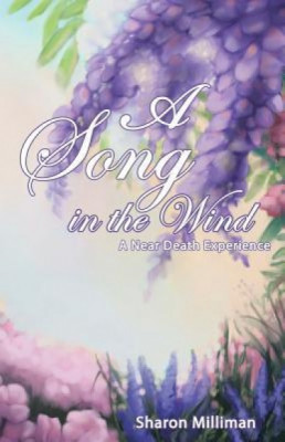 A Song in the Wind: A Near Death Experience foto