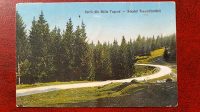 Partii din Baile Tusnad-1924-C.P.circ. foto