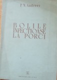 BOLILE INFECTIOASE LA PORCI - P.N. ANDREEV, 1950