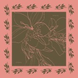Batic The Magnificent Alstroemeria - olive/roz