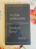 Nicolae Prelipceanu, Intrebati fumul