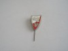 QW9 N3 18 - insigna - culori si insemne militare nationale - Polonia, Europa
