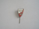 QW9 N3 18 - insigna - culori si insemne militare nationale - Polonia, Europa