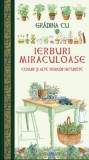 Gradina mea cu ierburi - DPH