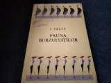 I PELTZ - FAUNA BURZULUITILOR