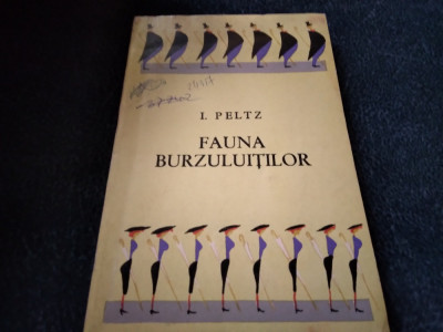 I PELTZ - FAUNA BURZULUITILOR foto