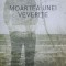 MOARTEA UNEI VEVERITE-DUMITRU CRUDU-237924