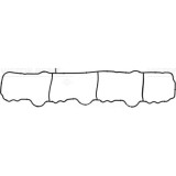 Victor Reinz Garnitura, galerie admisie