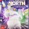 DVD animatie: Ursul Norm de la Polul Nord ( dublat limba romana ; stare f.buna )