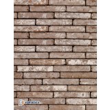 Caramida lunga Terca Metropolis Civitas Bruin, 24x6.5x4 cm