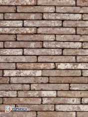 Coltar mic klinker Terca Metropolis Civitas Bruin, 21x4x2.3 cm foto