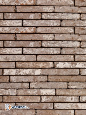 Placaj klinker Terca Metropolis Civitas Bruin, 24x4x2.3 cm foto
