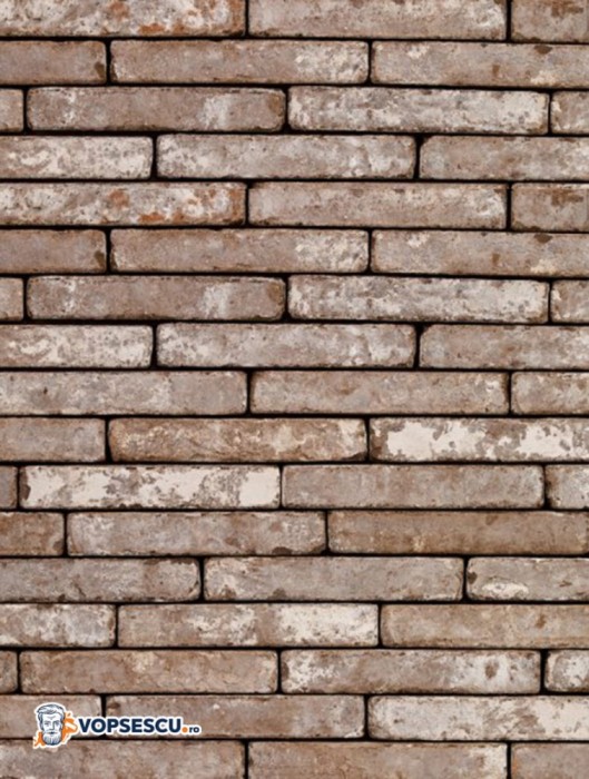 Placaj klinker Terca Metropolis Civitas Bruin, 24x4x2.3 cm