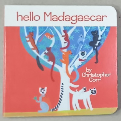 HELLO MADAGASCAR , A PICTURE BOOK by CHRISTOPHER CORR , ANII &amp;#039;2000 foto