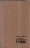 Amurg - Georgeta Mircea Cancicov, carte veche editura pentru literatura 1967, romane clasice, coperta cartonata, 388 pagini
