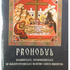 Prohodul Domnului, Dumnezeului și Mântuitorului Nostru Iisus Hristos (editia 2011)