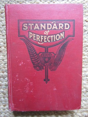 The American Standard of Perfection 1930 foto