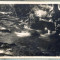 AD 707 C. P. VECHE- SLANIC MOLDOVA -SLANICELU -FOTO WEIS -URME DE LIPIRE ALBUM
