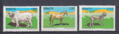 BRAZILIA 1974 FAUNA DOMESTICA SERIE MNH foto