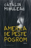 America de peste pogrom - Catalin Mihuleac - Roman