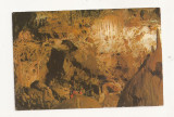 RF8 -Carte Postala- Pestera Ursilor, Chiscau (Bihor ), necirculata