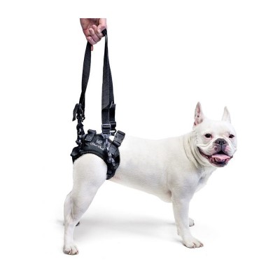 Walkinpets - Chinga pentru sprijinirea spatelui - pentru c&amp;acirc;ini M/L foto