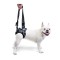 Walkinpets - Chinga pentru sprijinirea spatelui - pentru c&acirc;ini M/L