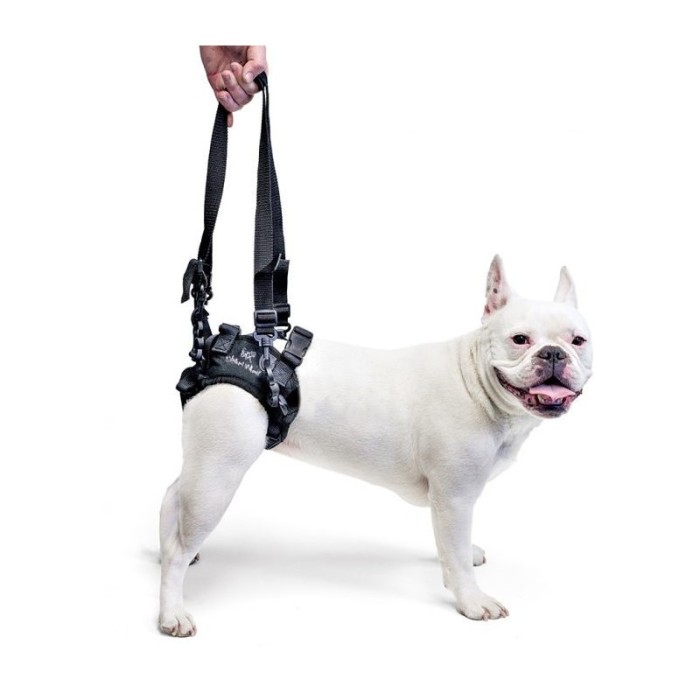 Walkinpets - Chinga pentru sprijinirea spatelui - pentru c&acirc;ini M/L