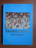 Ion Buga - Ierarhiile fiintei (caiete teologice I)