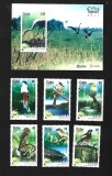 cuba pasari mnh
