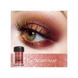 Pigment fard de ochi Focallure Eyes Loose Pigment 04 Brown Plum