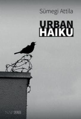 Urban haiku - S&amp;uuml;megi Attila foto