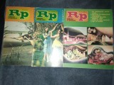 12 REVISTE ROMANIA PITOREASCA 1981 AN COMPLET