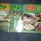 12 REVISTE ROMANIA PITOREASCA 1981 AN COMPLET
