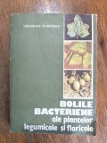 Boli bacteriene ale plantelor legumicole si floricole - Ghe. Marinescu / R7P3S, Alta editura