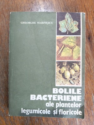 Boli bacteriene ale plantelor legumicole si floricole - Ghe. Marinescu / R7P3S foto