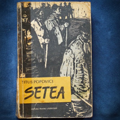 SETEA - TITUS POPOVICI foto
