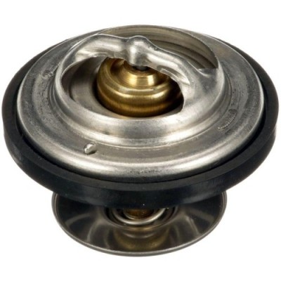 Gates termostat, lichid racire foto